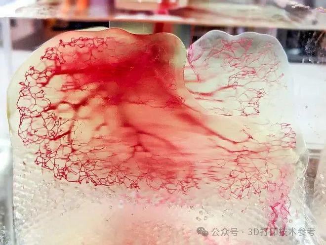 3D打印技术深刻影响社会发展进程发明者当选美国国家工程院院士(图5)