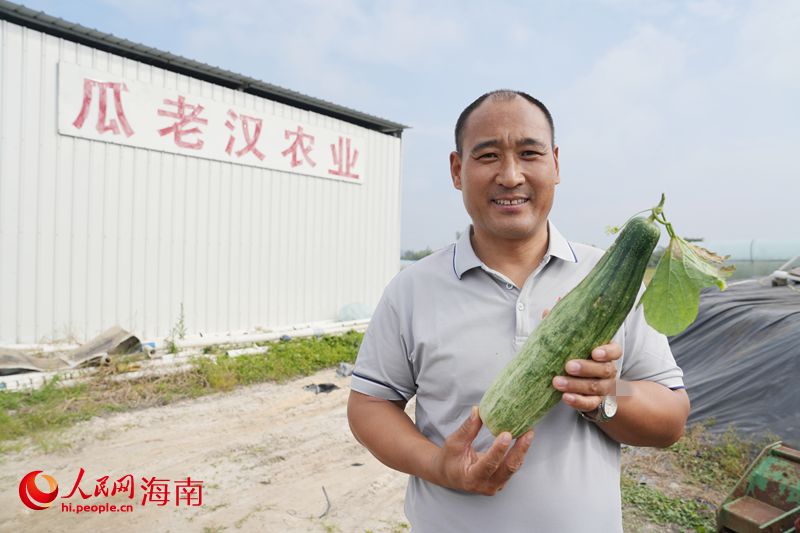 Kaiyun:昌江的蜜瓜为啥这样甜?答案写在瓜农的笑脸上(图9)