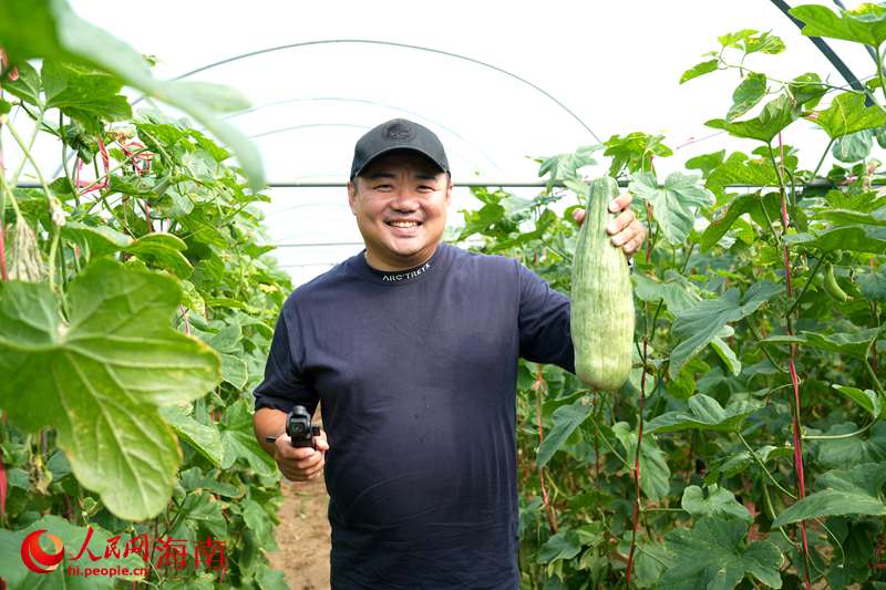 Kaiyun:昌江的蜜瓜为啥这样甜?答案写在瓜农的笑脸上(图11)