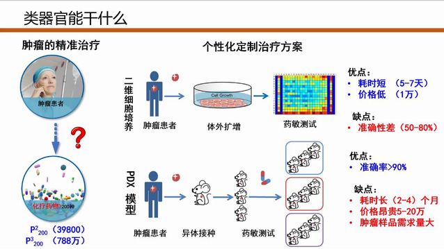 青春之翼——空军航空兵某团官兵与“鲲鹏”同行的成长足迹
